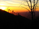 photo thumbnail #15