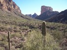 photo thumbnail #7