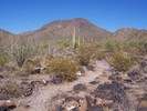 photo thumbnail #6