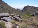 photo thumbnail #2