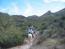 photo thumbnail #7