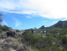 photo thumbnail #8