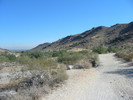 photo thumbnail #8
