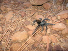 photo thumbnail #3