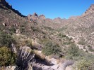 photo thumbnail #12