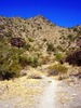 photo thumbnail #3
