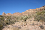 photo thumbnail #4