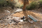 photo thumbnail #9