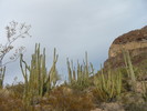 photo thumbnail #7