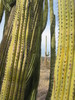 photo thumbnail #9