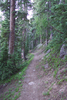 photo thumbnail #5