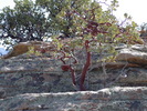 photo thumbnail #2