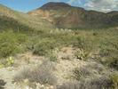 photo thumbnail #5