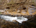 photo thumbnail #4