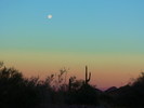 photo thumbnail #6