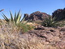 photo thumbnail #2