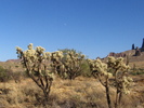 photo thumbnail #9