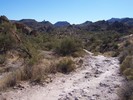 photo thumbnail #1