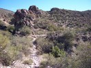 photo thumbnail #5