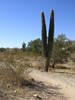 photo thumbnail #1