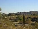 photo thumbnail #7