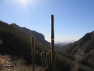 photo thumbnail #8