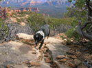 photo thumbnail #6