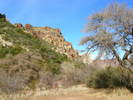 photo thumbnail #4