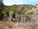 photo thumbnail #6