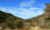 photo thumbnail #14