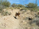 photo thumbnail #1
