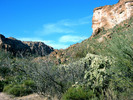 photo thumbnail #13