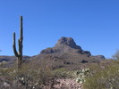 photo thumbnail #1