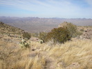 photo thumbnail #9