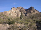 photo thumbnail #14