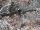 photo thumbnail #9