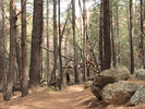 photo thumbnail #9
