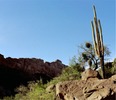 photo thumbnail #8