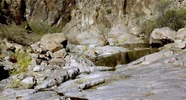 photo thumbnail #9