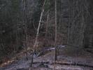photo thumbnail #15