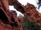photo thumbnail #7