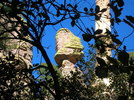 photo thumbnail #8