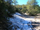 photo thumbnail #12