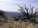 photo thumbnail #10