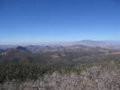 photo thumbnail #8