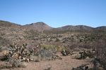 photo thumbnail #8