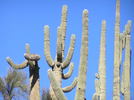 photo thumbnail #8
