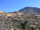photo thumbnail #2