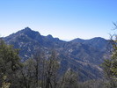 photo thumbnail #5