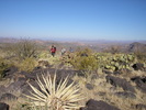 photo thumbnail #2